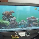 250px-plasma_display